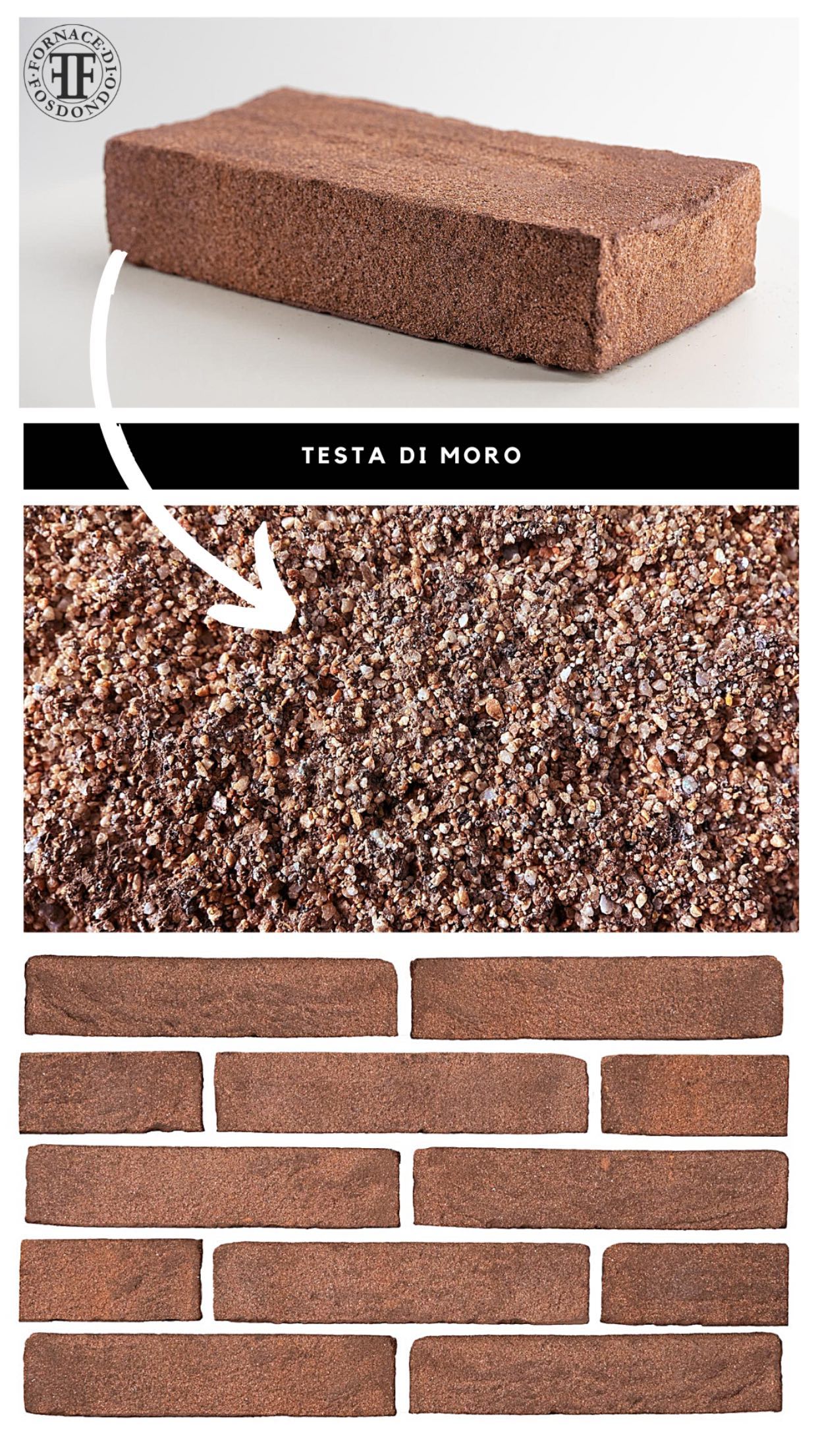 Testa Di Moro