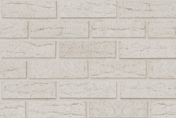 Кирпич клинкерный White / Rustic