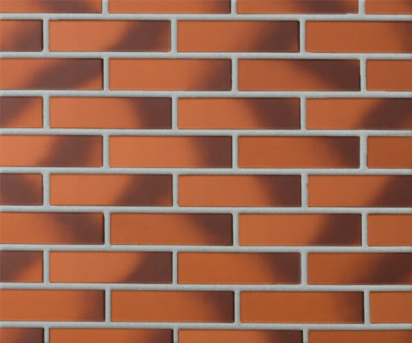 Oблицовочный кирпич пустотелый CAMELEO, 250x60x65